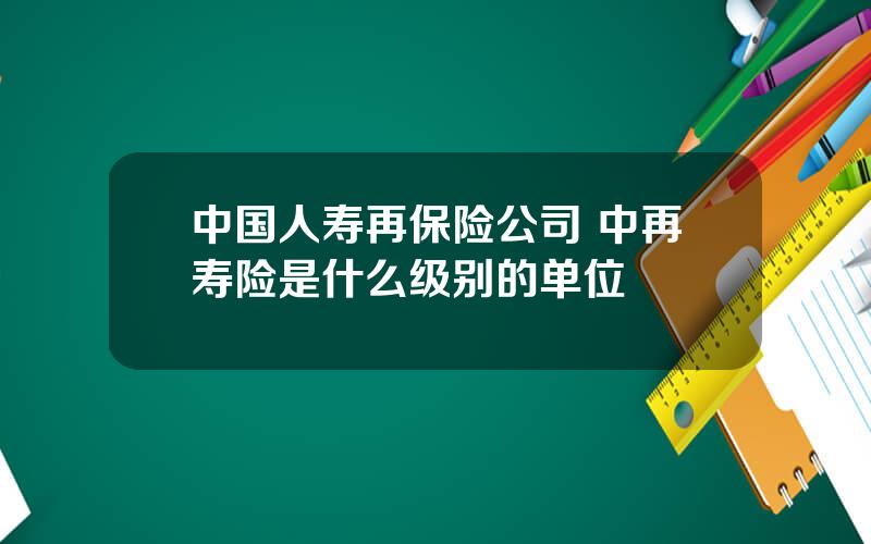 中国人寿再保险公司 中再寿险是什么级别的单位